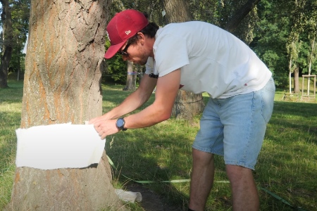 kam umístit slackline bandáž